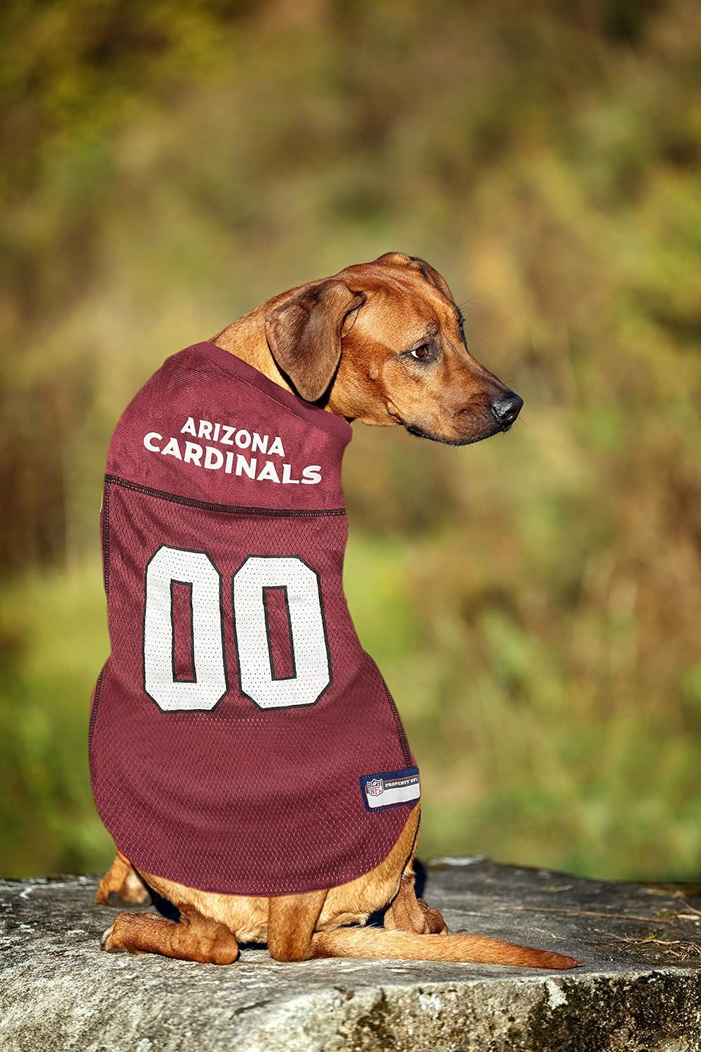 NFL Arizona Cardinals Dog Jersey, Size: Large. Best Football Jersey Costume for Dogs & Cats. Licensed Jersey Shirt